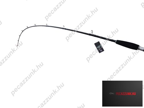 Casting harcsapergető bot - RBM DuraCat - Vertical GlassMag 170cm 60-250g Fast Action